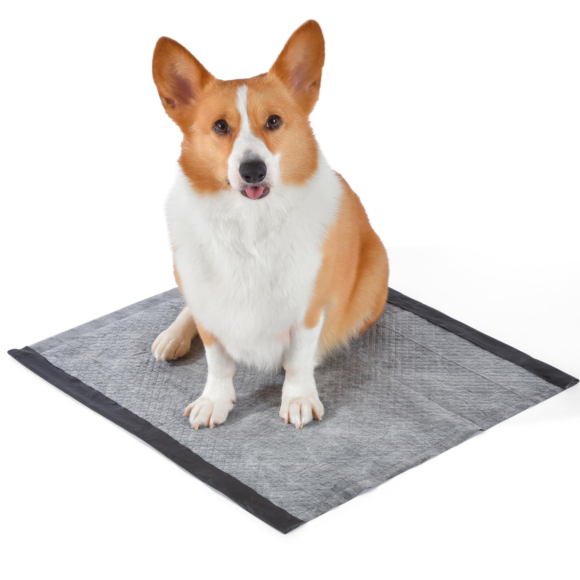Glad for Pets Dual Action Freshness Activated Carbon Puppy Training Pads with Fragrance Release, Scented Pee Pads, Ultra Absorbe